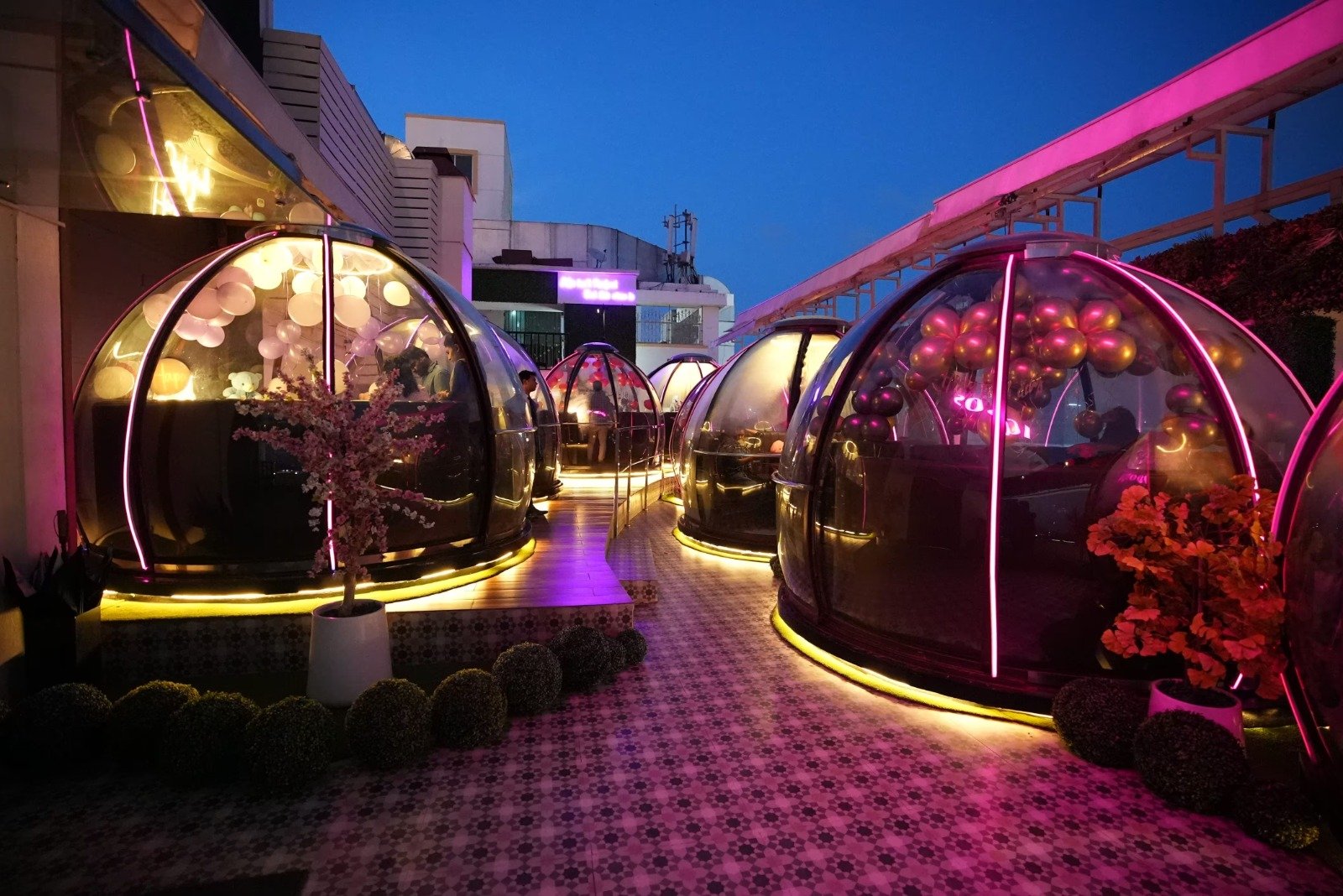 WhatsApp Image 2024-12-09 at 12.04.21_79e8ad28